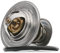 Borsehung Thermostat Kühlmittel B13141
