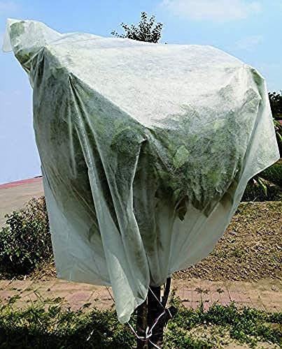 Cappuccio Protettivo per Piante Velo TNT Bianco