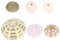 Luftpflanzen Halter Seeigel Muscheln Deko: 6PCS Hängeampel Blumentopf Luft Pflanzen pflanztöpfe Natürliches MuschelnTillandsia Halter Blumen Pflanzen Display Dekoration