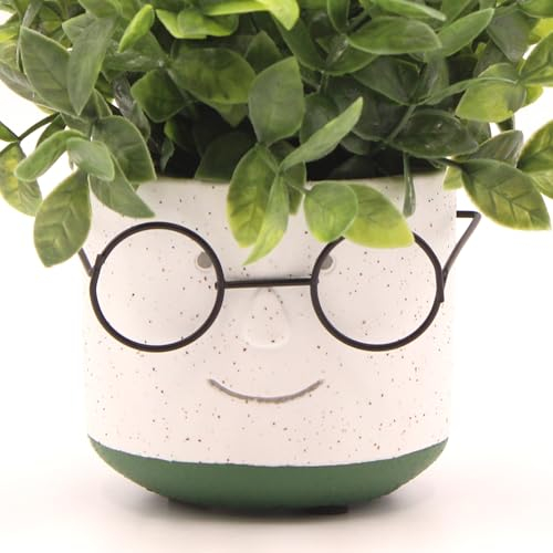 Edington Decor Pot de Fleurs en Forme de tête avec Lunettes pour intérieur et extérieur - Pot de Cactus Mignon et Unique avec Trou de Drainage - Ciment - 10,2 cm (Vert)