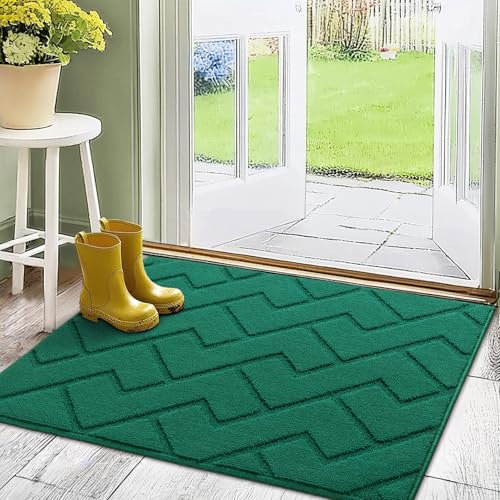 Biscpro Fußmatte Innen Außen Waschbar eingangsteppich innen Schmutzfangmatte rutschfest,Türmatte Innen Teppich für Eingang, Patio, Flur, Garten, Innen und Außen (Evergreen, 80 * 100 cm)