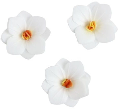 Bella Decor Essbare Blumen Weiße Hortensien 18 Stück Tortendeko Blüten Für Torte Aus Oblate Deko Für Kuchen Muffins Dessert