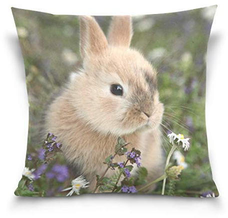 Linomo Kissenbezug 40x40 cm, Süß Hase Kaninchen Dekorative Kissenbezug Kissenhülle für Couch Sofa Bett Hause
