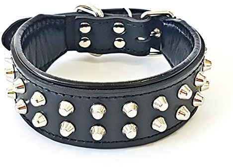 Bestia™ Rocky Echtleder Hundehalsband mit Stumpfnieten. 100% Leder. Weich gepolstert. TOP Qualität!