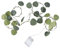Uonlytech Künstliche Eukalyptusblätter Schnüre Licht Grün Reben Girlande Licht 20 LED Lichterkette Rustikale Hochzeitsfeier Wanddekoration für Indoor Outdoor (2M Warmes Licht)