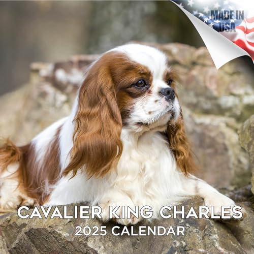Kalender 2024 2025 Cavalier King Charles – Monatlicher Wandkalender für Hunderassen – 30,5 x 61 cm offen – dickes Papier ohne Auslaufen – Geschenk – akademischer Lehrerplaner Kalender Organisieren und