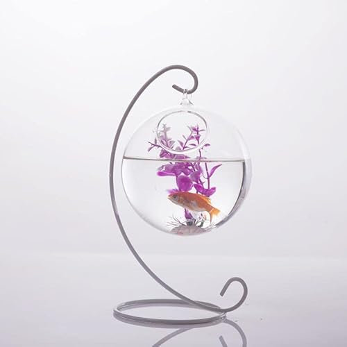 Creative Hanging Transparent Glass Vase, Small Hanging Bottle, 10cm - Suitable for Home and Office Décor
