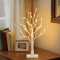 EAMBRITE Easter Twig Tree Lighted Birch Tree Battery Powered Tabletop Tree Decorations for Home Mantle Party Christmas Decorations (22 Inch)