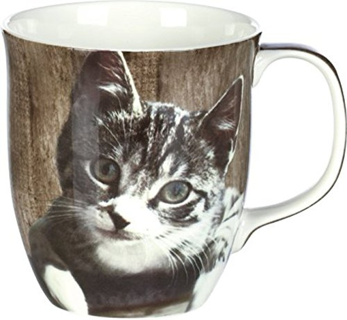 IHR - Becher - Kater Kasimir