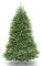 National Tree Company Albero di Natale artificiale completo, verde, abete Dunhill, include supporto, 6 piedi