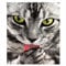 Cukol Kreuzstich Stickpackungen Vorgedruckt Set Erwachsene, Stickvorlagen Stickbilder Vorgedruckt Kreuzstich Stickpackung Sticken Starter Set für Erwachsene Kinder Anfänger, Stickset Cross Stitch Kit