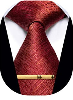YourTies Herren Krawatten Gestreifte Krawatte und Plaid Krawatten für Männer Gewebte Seide Krawatte Gold Krawattenklammer Set, Rostrot, Einheitsgröße