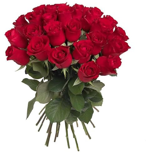 Bouquet di 33 Rose Rosse Vere a Stelo Lungo (40 cm) | Fiori Freschi di Alta Qualità, Idea Regalo per Anniversari, San Valentino e Occasioni Speciali Fiori Freschi a Domicilio