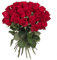 Bouquet di 33 Rose Rosse Vere a Stelo Lungo (40 cm) | Fiori Freschi di Alta Qualità, Idea Regalo per Anniversari, San Valentino e Occasioni Speciali Fiori Freschi a Domicilio