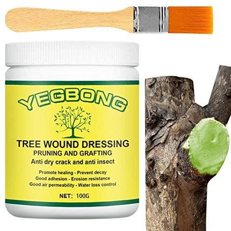 Sloane Mastic Cicatrisant Bonsai Mastic Cicatrisant pour Arbre Mastic À Cicatriser Et À Greffer avec Brosse 100g