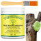 Sloane Mastic Cicatrisant Bonsai Mastic Cicatrisant pour Arbre Mastic À Cicatriser Et À Greffer avec Brosse 100g