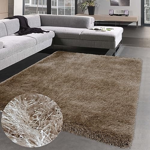 CARPETIA Weicher Teppich Hochflor Langflor Wohnzimmer Schlafzimmer Gästezimmer glänzend Dunkles Beige/Braun 120 x 170 cm