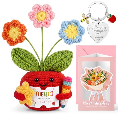 Hicarer Cadeau Maîtresse d'École 3 Pièces, Maîtresse Pomme | Petite Poupée Fleur au Crochet Fait-Main, Porte-Clés, Carte de Vœux avec Marguerite, pour Professeur Départ Fin d'Année