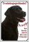 Hundewarnschild Labrador Retriever - hochwertiges Metallschild in Fotoqualität, DIN A4