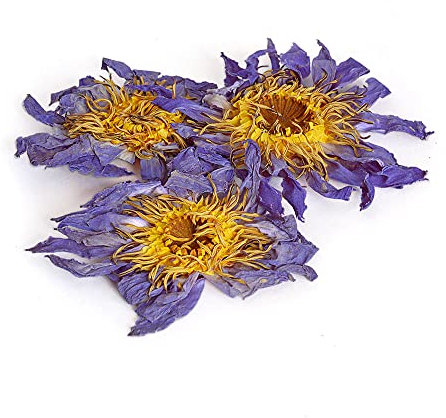 Tea Soul | Fiore di Loto Blu Essicato, Confezione Petali e Polline Sfusi, Effetto Rilassante e Calmante, per Stimolare il Metabolismo, Aiuto per Conciliare il Sonno, Afrodisiaco Naturale - 25 gr