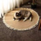 NEOFEN Geflochtener Teppich, rund, handgefertigt, Jute-Fransen, ideal für stark frequentierte Bereiche im Wohnzimmer und Schlafzimmer (Color : Beige, Size : 60cm)