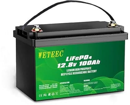 Batteria LiFePO4, 5000 Deep Cycle al litio fosfato di ferro, sostituisce batteria AGM al piombo acido, adatta per camper, traina, barche, impianti solari, ecc. (12.8V 100AH)