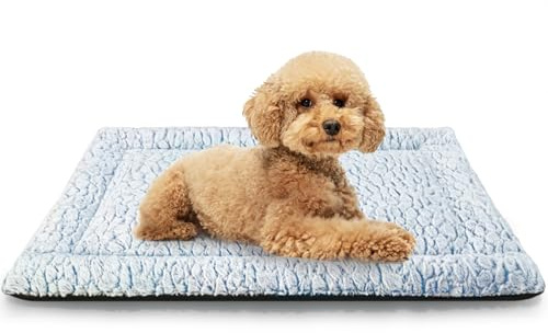 Aspand Tapis Chien, Matelas Douillet et pour Chien Petit Taille de Compagnie, 63x48cm, Coussin Moelleux pour Cage ou en Voyage, et Facile à Nettoyer, Bleu