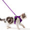 商品图片 Katzengeschirr mit Leine Ausbruchsicher Katzenleine Set Verstellbar weich Kätzchenweste mit Reflektierenden Streifen Brustgeschirr für kleine Kitten (Lila, XS)