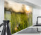timalo Herd Spritzschutz Wand Spüle, Küche Küchenrückwand Glasoptik | Acryl Glas 2mm | Glasrückwand Acrylglas Küchenpaneele Küchenspiegel | 100x50cm Wiese Natur Blumen