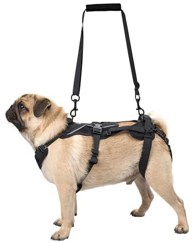 OneTigris Hundegeschirr, Hopper Kleines Unterstützung Geschirr Einstellbares Hebegeschirr mit 2 Griffen für Unterstützung und Rehabilitation Geeignet für Kleiner Hund Schwarz S