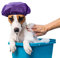 2 Pack Dog Shower Cap Bath Cap Waterproof Shower Hat for Washing Raining Dogs Ear Prevention Cover Guard