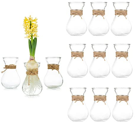 Glasseam Klare Glasvase für Blumen, Set mit 12 Zwiebeln, Vase zum Einzwingen von Hyazinthe Zwiebeln, kleine Vasen für Tafelaufsätze, Wohnzimmer, Hochzeitstischdekorationen