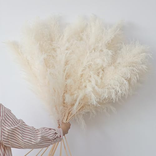 12 Stück Pampasgras Deko Groß 120CM Trockenblumen Pampasgras XXL Getrocknet Blumen Natürliche Trockenblumenstrauß Beige Pampasgras Deko Gross Vasen Boho Deko für Hochzeit Wohnzimmer Schlafzimmer 12PCS