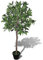 vidaXL Lorbeerbaum künstlicher Dekobaum Kunstpflanze Kunstbaum Kunstlorbeer