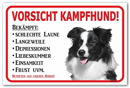 AdriLeo Schild - Vorsicht Border Collie - Kampfhund - (40x60cm) / Achtung Hund Wachhund robust langlebig UV-beständig wetterfestes Warnschild Hütehund Hirtenhund