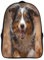 JUXINGABC Border Collie Kinderrucksack Rucksack Kindergarten Mädchen Vorschule Kindergartenrucksack Schultasche Kindertasche Kleinkind 3D Kinder Schule Tasche 40x28x16cm
