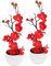 BESTYASH 2stücke Künstliche Pflaumenblüte Bonsai Topf Realistische Dekoration Für Tisch Und Wohnraum Geschenkidee Für Freunde Und Familie