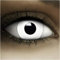 FXCONTACTS Farbige Kontaktlinsen Halloween weiß ZOMBIE + Tattoos, 2 Stück (1 Paar), Ohne Sehstärke, leicht einzusetzende weiße Linsen, 2 x farbig weisse Kontaktlinse für Cosplay, Karneval, Fasching