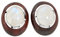 La Luna Design Damen Ohrstecker aus 925 Sterling Silber mit Ebenholz und Mondstein