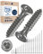 Holzschrauben Torx Schrauben 5x25 Edelstahl V2A rostfrei Spanplattenschrauben für Holz Teilgewinde 5mm stark 25mm lang 50 Stück Edelstahlschrauben Holz A2