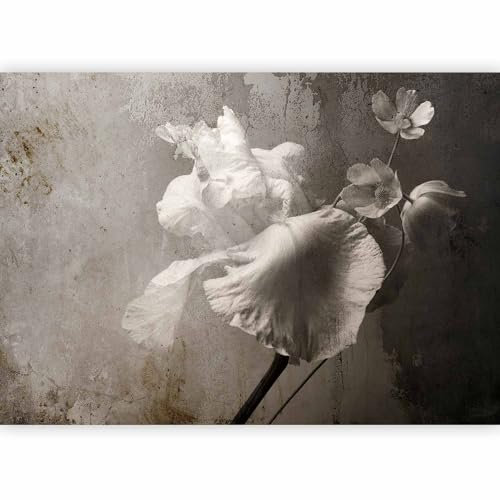 murando - Papier Peint Panoramique Adhésif Nature 147x105 cm - Tapisserie Murale Autocollante Décoration Moderne Chambre Salon - Vert marron noir - Texture de fond de fleurs b-C-0976-a-a