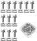 12 Sets Motorrad Batterieklemmen Muttern und Schrauben, M6x16mm Motorrad Batterie Schrauben und Muttern, Motorradbatterien Schrauben mit Vierkantmuttern für ATV Scooter Fahrrad Roller DIY