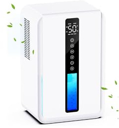 Deumidificatore Casa con 2500ml, Deumidificatore Casa Muffa con Modalità Sospensione e Timer 6-48 Ore, Controllo Umidità Automatico (≥50% RH),7 Luci RGB, Protezione da Overflow, Defrost Automatico