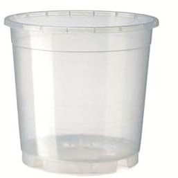 ERBA Jarrón para orquídeas 15 cm transparente