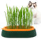 bellv Bac à herbe à chat, bac à herbe à chat, pot pour chat d'intérieur ou d'extérieur, pour chats, chiens et autres animaux de compagnie, bac à herbe à chat pour plantes d'intérieur et d'extérieur