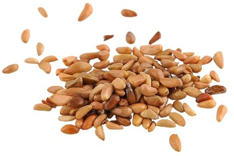 500 Stück/Beutel Kletterrosen-Samen, geeignet für Töpfe und draußen - ideal für Balkon, Terrasse, kleiner Garten