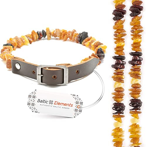 Bernsteinkette Hund & Katze – Verstellbares Bernsteinhalsband – Bernstein Halsband für große & kleine Hunde und Katzen (24-26 cm)
