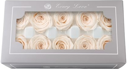 Eine Klasse 3-4 cm erhalten Rosenkopf, 12 Stück/Box echte Rosen für immer Blumen, ewige Rose letzten 2 bis 3 Jahre für Mütter Valentinstag Geburtstagsgeschenke Hochzeit zu Hause Party Dekor zum