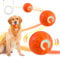 DAILINK Intelligentes Hundespielzeug, automatisches Hundespielzeug, interaktiver Ball für Hunde, langlebig und automatisch, für Welpen, klein und mittel, wiederaufladbar über USB