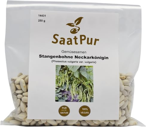 250 g Stangenbohne Neckarkönigin fleischige und sehr ertragreiche Bohne - Qualitätssaatgut